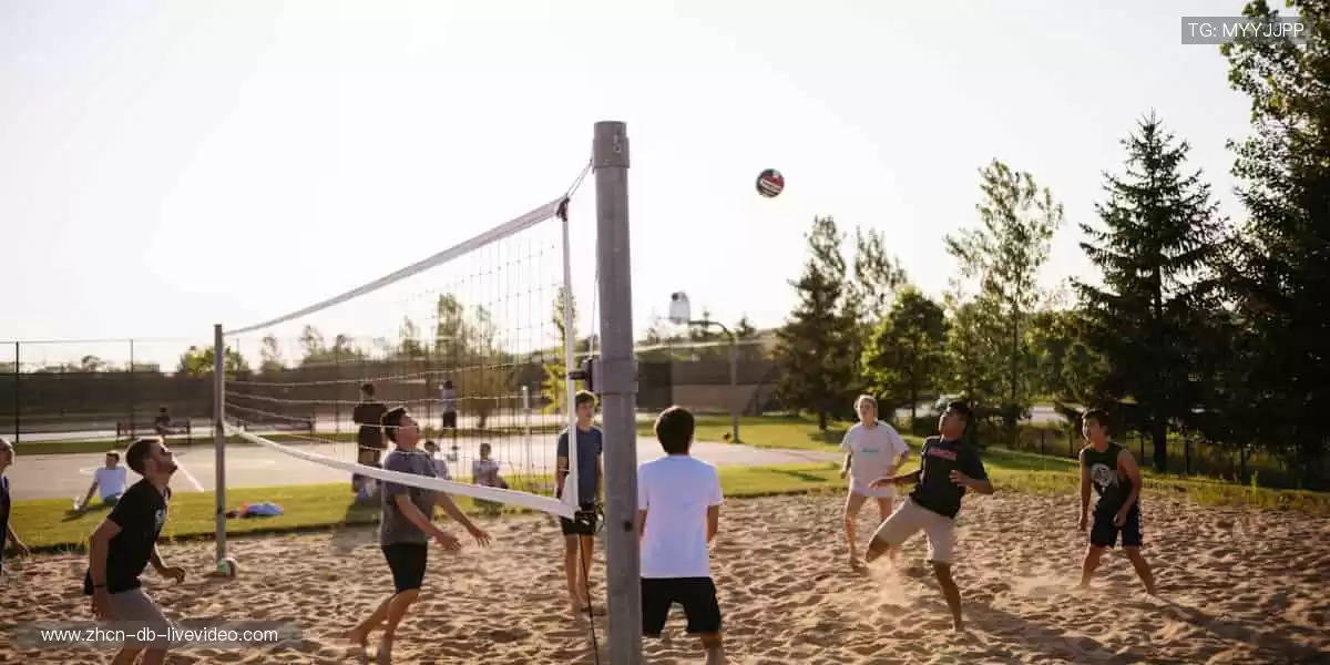 🔥 热血赛事,激情碰撞,官网直击现场心跳!